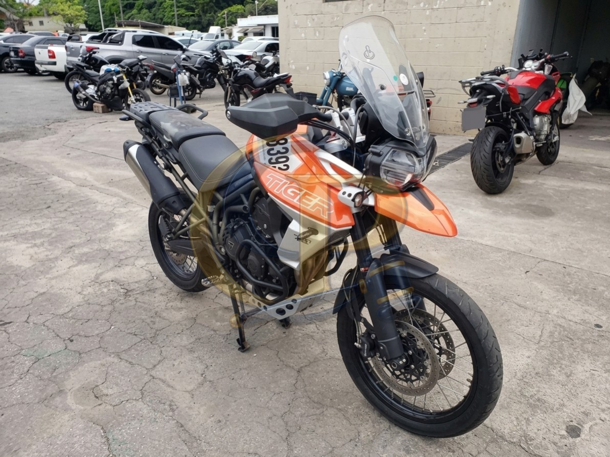 TRIUMPH TIGER 20/20