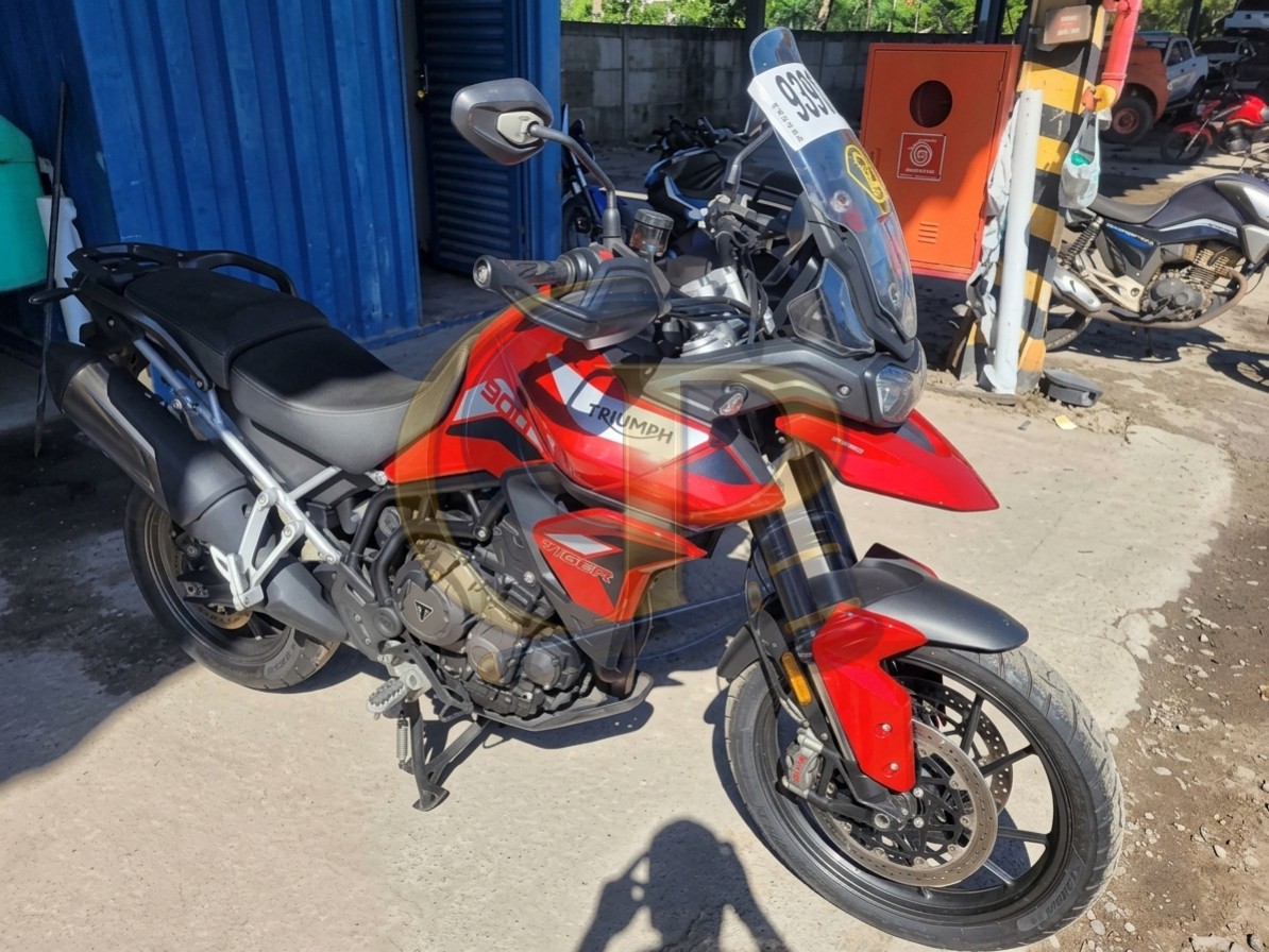 TRIUMPH TIGER 22/22